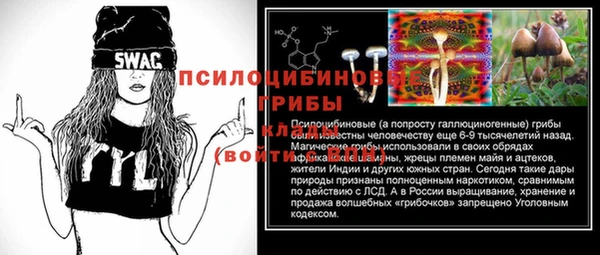 PSILOCYBIN Белокуриха